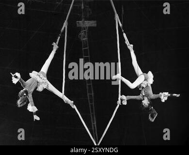 Luftbild Akt im Zirkus, Indien, Asien Stockfoto