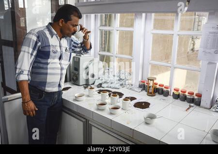 Tee-Schnupper-Kleinanzeigen, Vagamon, Kerala, Indien, Asien Stockfoto