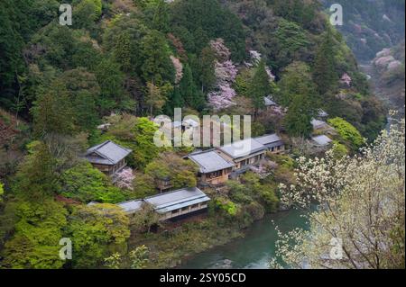 Blick von oben auf den Hozugawa River, der eine 2-stündige Bootsfahrt zwischen Kameoka und der bekannten Sightseeing Gegend Arashiyama bietet. Stockfoto