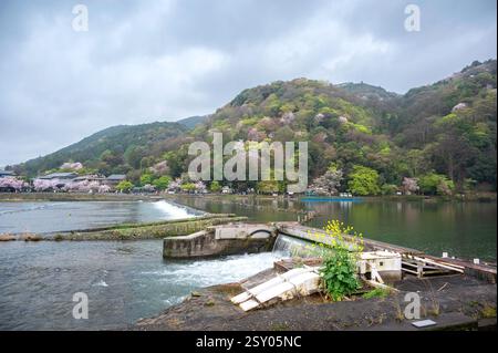Touristen an der Togetsu-kyo-Brücke, einer Holzbrücke, die den Katsura-Fluss vor den Arashiyama-Bergen in Kyoto, Japan überspannt. Stockfoto