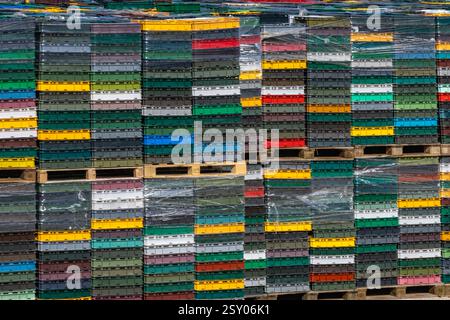 Bunte Kisten in einem Hafen vor blauem Himmel gestapelt, Gütertransport auf dem Seeweg, Entladung von Schiffen, Versuch, Waren in die Europäische Union zu schmuggeln Stockfoto