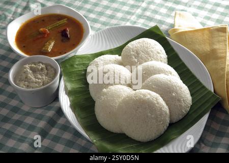 Südindische Essen Idli, Sambar und Chutney im Bananenblatt Indien PR #743AH Stockfoto