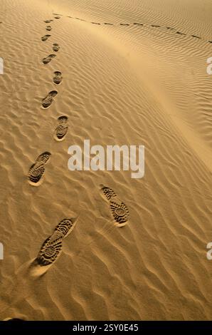 Fußabdrücke auf den Wellen des Sandes Rajasthan India Asia Stockfoto