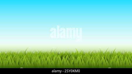 Natürliche Landschaft mit Gras. Grüner Rasen und blauer, sauberer Himmel. Realistischer isolierter horizontaler Hintergrund. Parkwiese. Hintergrunddesign. 3D isoliert Stock Vektor