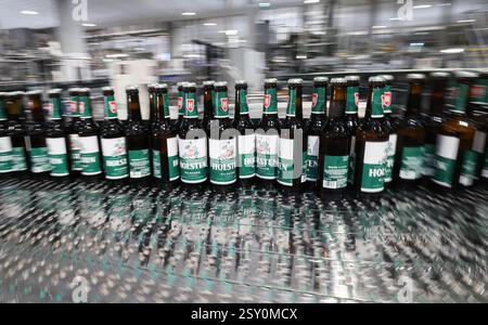Hamburg, Deutschland. Februar 2025. Das Bier der Marke Holsten wird in der Produktion der Holsten Brauerei im Hamburger Stadtteil Hausbruch gebraut, abgefüllt und verpackt. Quelle: Christian Charisius/dpa/Alamy Live News Stockfoto