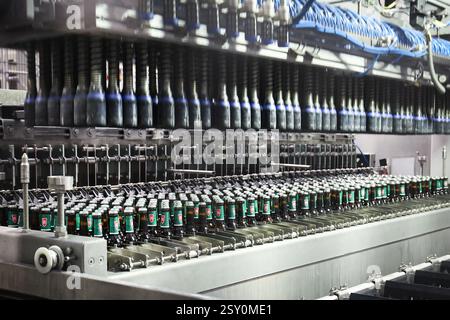 Hamburg, Deutschland. Februar 2025. Das Bier der Marke Holsten wird in der Produktion der Holsten Brauerei im Hamburger Stadtteil Hausbruch gebraut, abgefüllt und verpackt. Quelle: Christian Charisius/dpa/Alamy Live News Stockfoto
