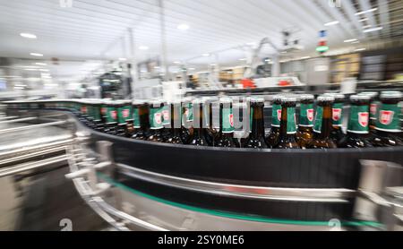 Hamburg, Deutschland. Februar 2025. Das Bier der Marke Holsten wird in der Produktion der Holsten Brauerei im Hamburger Stadtteil Hausbruch gebraut, abgefüllt und verpackt. Quelle: Christian Charisius/dpa/Alamy Live News Stockfoto