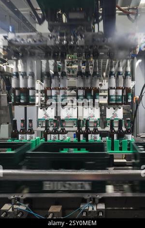 Hamburg, Deutschland. Februar 2025. Das Bier der Marke Holsten wird in der Produktion der Holsten Brauerei im Hamburger Stadtteil Hausbruch gebraut, abgefüllt und verpackt. Quelle: Christian Charisius/dpa/Alamy Live News Stockfoto