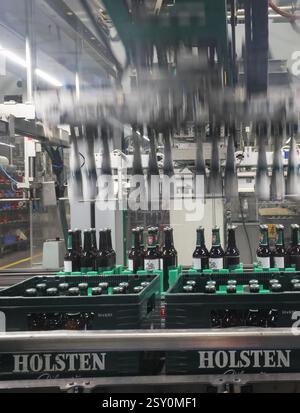 Hamburg, Deutschland. Februar 2025. Das Bier der Marke Holsten wird in der Produktion der Holsten Brauerei im Hamburger Stadtteil Hausbruch gebraut, abgefüllt und verpackt. Quelle: Christian Charisius/dpa/Alamy Live News Stockfoto