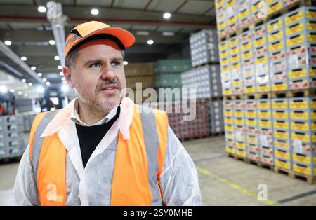 Hamburg, Deutschland. Februar 2025. Simon Mosegaard Fibiger, Geschäftsführer der Carlsberg Deutschland GmbH, in der Brauerei Holsten im Hamburger Stadtteil Hausbruch. Quelle: Christian Charisius/dpa/Alamy Live News Stockfoto