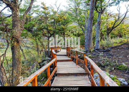 Der Boardwalk-Pfad im Tierra del Fuego-Nationalpark in der Nähe von Ushuaia am südlichsten Punkt Argentiniens, Südamerika Stockfoto