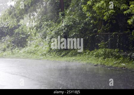 Monsun Village Vasai Maharashtra Indien Südostasien Stockfoto