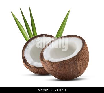 Kokosnüsse und grüne Blätter isoliert auf weiß Stockfoto