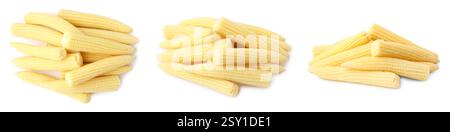 Gelbe Maiskolben isoliert auf weiß Stockfoto