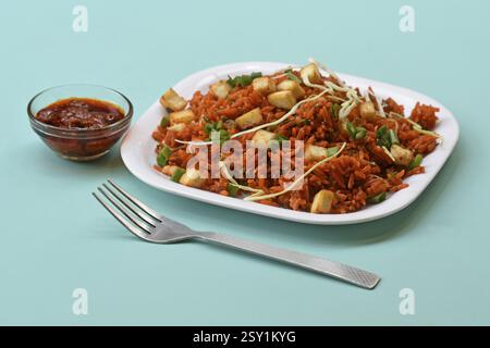 Schezwan paneer gebratener Reis mit schezwan-Sauce, chinesischer gebratener Reis mit paneer, garniert mit Frühlingszwiebel und Kohl Stockfoto