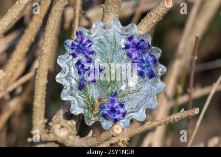 Eisfigur mit violetter Hyazinthenblume und Tannenzweig im Wintergarten Stockfoto