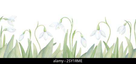 Schneeglöckchen in grünem Gras nahtloser Rand. Horizontale Zusammensetzung der Aquarelle mit ersten Blüten isoliert auf weiß. Handgezeichnetes Blumenarrangement Stockfoto