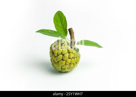 Ein Pudding-Apfel mit grünen Blättern und einem Stiel ist auf weißem Hintergrund isoliert, aus einem hohen Winkel betrachtet Stockfoto