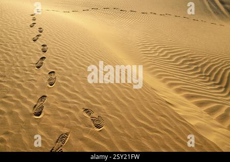 Fußabdrücke auf den Wellen des Sandes Rajasthan India Asia Stockfoto