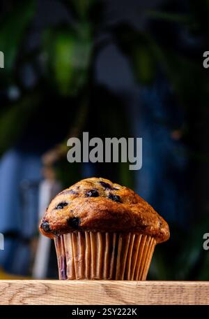 Blaubeermuffin von einer Seite auf einer Holztheke mit grünem und blauem Hintergrund Stockfoto