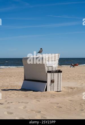 Die traditionelle weiße Strandcorb steht an der Ostseeküste. Wicker Chaiselongen mit Kapuze am Ostseestrand Usedom, Deutschland Stockfoto