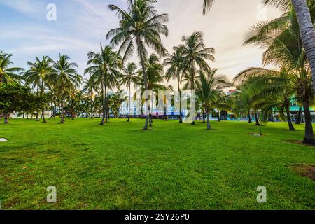 Üppig grüner Rasen mit hohen Palmen im Lummus Park am Ocean Drive bei Sonnenuntergang in Miami Beach. Miami Beach. USA. Stockfoto