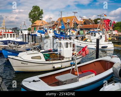 Kleine Fischerboote liegen im Hafen von Maasholm am Schlei-Fjord, Schleswig-Holstein, Deutschland Stockfoto