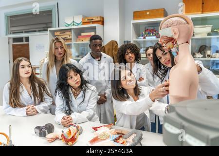 Gruppe multiethnischer Medizinstudenten, die Anatomie mit anatomischem Modell im Universitätsunterricht lernen Stockfoto