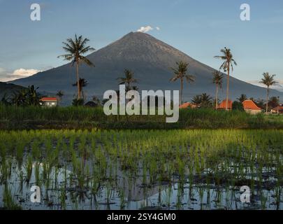 Herrlicher Vulkan Mount Agung und malerische Reisfelder bei Sonnenuntergang im ländlichen Amed Dorf, Karangasem Bezirk auf Bali Stockfoto