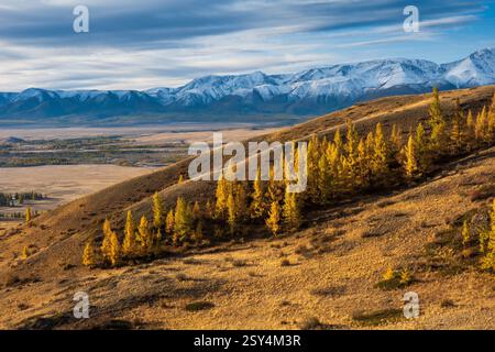Bergblick mit Feldern, Herbstbäumen und schneebedeckten Gipfeln unter bewölktem Himmel Stockfoto