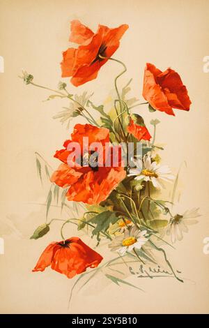 Sommerblumen, Farbhalbton des floralen Aquarells der deutschen Künstlerin Catharina Antonie Klein aus den Dekorativen Vorbildern VII 189 Stockfoto