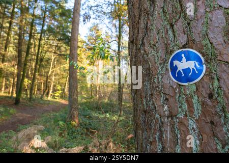 Spurweiser für Reiter zu Pferd an einem Baumstamm in einem Herbstwald, Deutschland, Nordrhein-Westfalen, Senne Stockfoto
