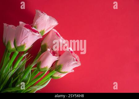 Künstliche rosa Rosen und grüne Blätter auf dunkelrotem Hintergrund. Perfekt für den romantischen Valentinstag und Muttertag. Stockfoto