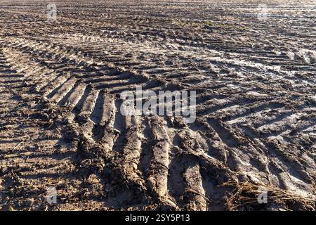 Spuren von Automobilrädern auf dem Boden des Feldes, Spuren von Traktoren und anderen landwirtschaftlichen Maschinen auf dem Boden auf dem Feld Stockfoto