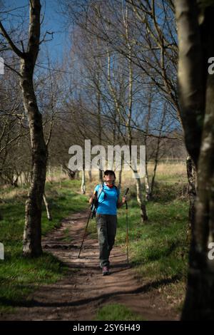 Ein Wanderer schaut auf die Bäume in ihrem Weg. Stockfoto