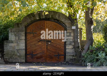 Alte Holztür mit Metallrahmen, die zu einem Steinkeller führt, unterirdisch, umgeben von Bäumen im Park des botanischen Gartens, im Schatten Stockfoto