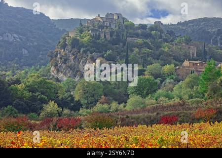 Frankreich, Vaucluse Oppède-le-Vieux, Dorf auf einem Hügel von den Weinbergen und Obstgärten aus gesehen, im Herbst Credit:Alexis G./Photo12 Stockfoto