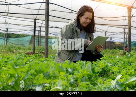 Frau, die mit einem digitalen Tablet auf einer Hydrokultur arbeitet Stockfoto