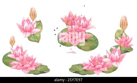 Großes Set von Lotus Flowers Flowers Flowers. Hand gezeichnete Aquarellillustration der tropischen rosa Wasserlilie und grünen Blätter auf isoliertem Hintergrund Vorlage für Stockfoto