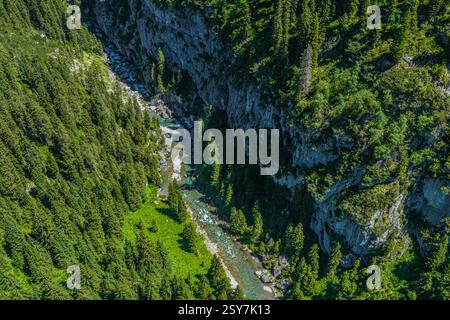 Ein Blick aus der Vogelperspektive auf die wilde und romantische Lech Gorge zwischen Lech und Warth Stockfoto