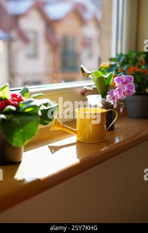 Eine hellgelbe Gießkanne sitzt auf einer sonnendurchfluteten Fensterbank zwischen grünen Pflanzen und blühenden Blumen Stockfoto