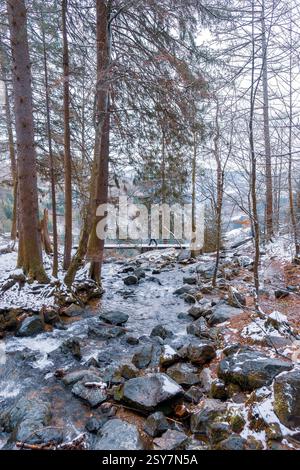 Todtnauer Wasserfall im Winter – gefrorener Wasserfall und schneebedeckte Schwarzwaldlandschaft, Süddeutschland Stockfoto