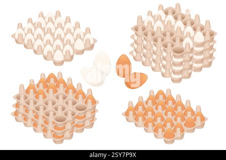 Mehrere Eierkartons mit weißen und braunen Eiern. Verschiedene Konfigurationen der Eierverpackung. Verschiedene Größen von Eierschalen. Gestapelte Eierhalter. Isometrisch Stock Vektor