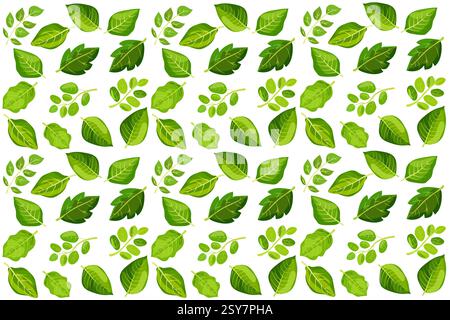 Nahtloses Vektormuster mit einer Vielzahl grüner Blätter in verschiedenen Formen und Größen für Designanwendungen Stock Vektor