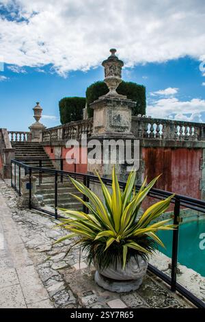 Yucca Pflanze in einem Topf in der Nähe eines alten Gebäudes. Stockfoto