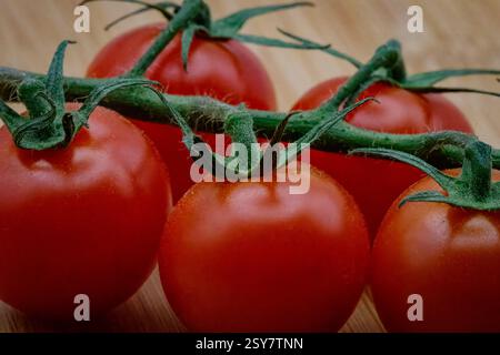 Süße, reife rote Tomaten auf Weinrebe Stockfoto
