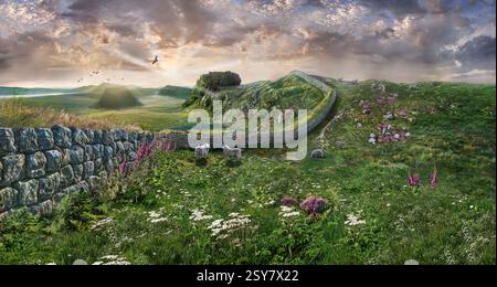 Foto der Hadriansmauer bei Sonnenaufgang mit Blick auf das römische Fort Houseteads, Vercovicium, UNESCO-Weltkulturerbe, Northumberland, England, Großbritannien. Stockfoto