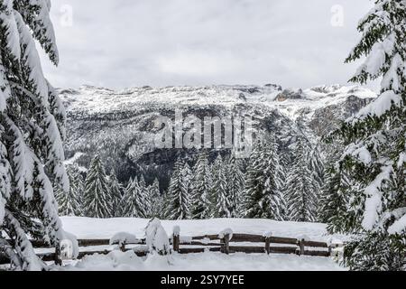 Schneebedeckte Evergreens und ein rustikaler Holzzaun umgeben den Blick auf die mattierten Dolomitenklippen und dichten Alpenwälder und schaffen eine ruhige und stimmungsvolle Atmosphäre Stockfoto