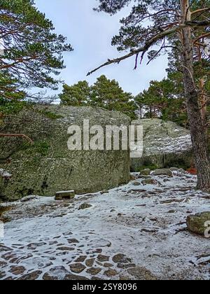 Schneebedeckte Felsen und hoch aufragende Kiefern sorgen in der Laguna Negra de Urbion in Spanien für eine ruhige Winterszene. Stockfoto