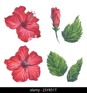 Rote Hibiskusblüten und Blätter Aquarellset Stockfoto
